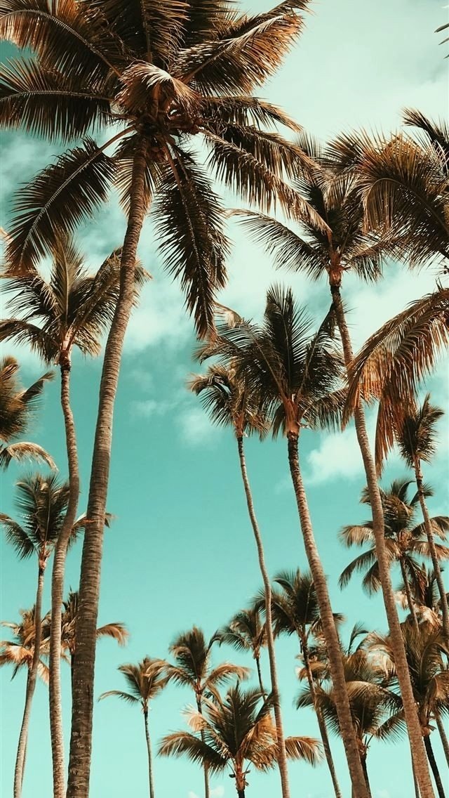 escapade bot 🌊 tweet media
