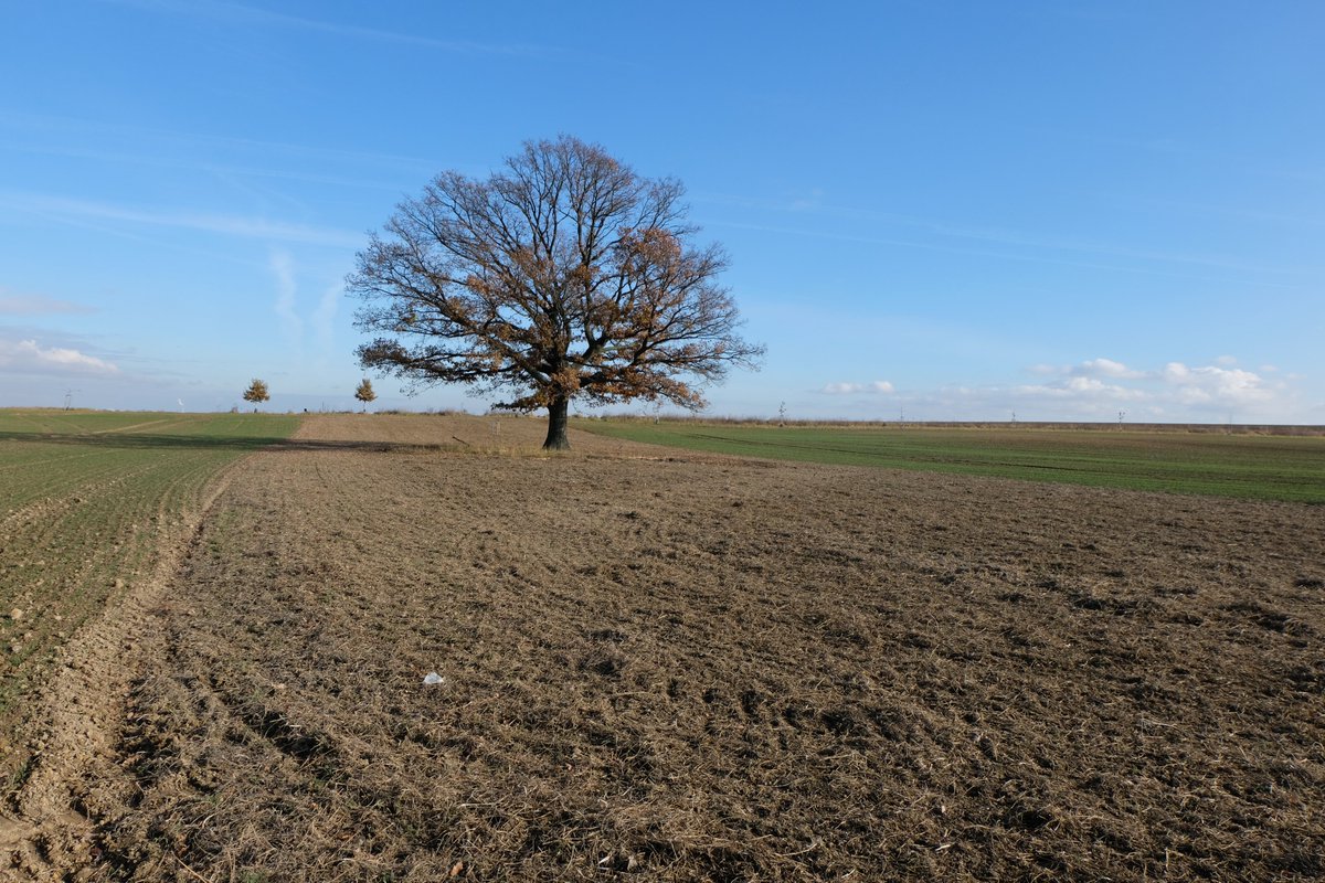 David Ježek 🚜 tweet media
