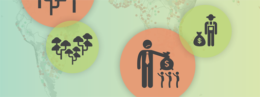 GlobalLandP's tweet photo. How can LSS use the @Land_Matrix Initiative's database? Three authors of recent report on socio-economic and environmental impacts of #LSLAs on their results and recommendations. Nov 10, 13:00 CET (UTC+2). More and register at https://t.co/zb4y6gJqwQ https://t.co/dsGVME2Paq