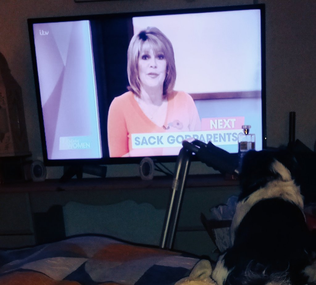 LisaBirty's tweet photo. @loosewomen Dora fkew to telly sat for  Janet and now I've been brought every toy she owns! X https://t.co/MSSxwyReND