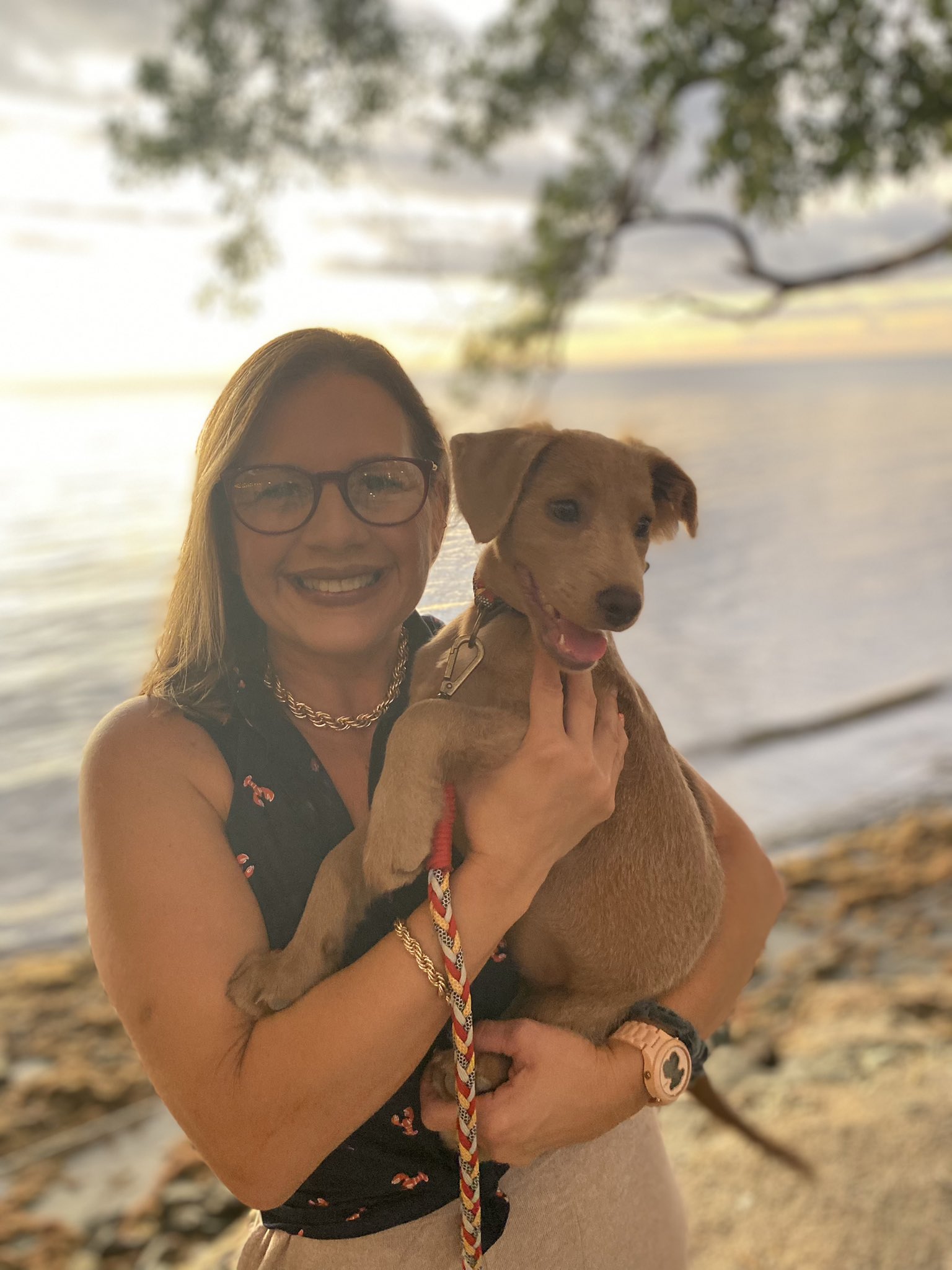 Janice Rivera:  A Leader In [Industry Name] - 36n8mly
