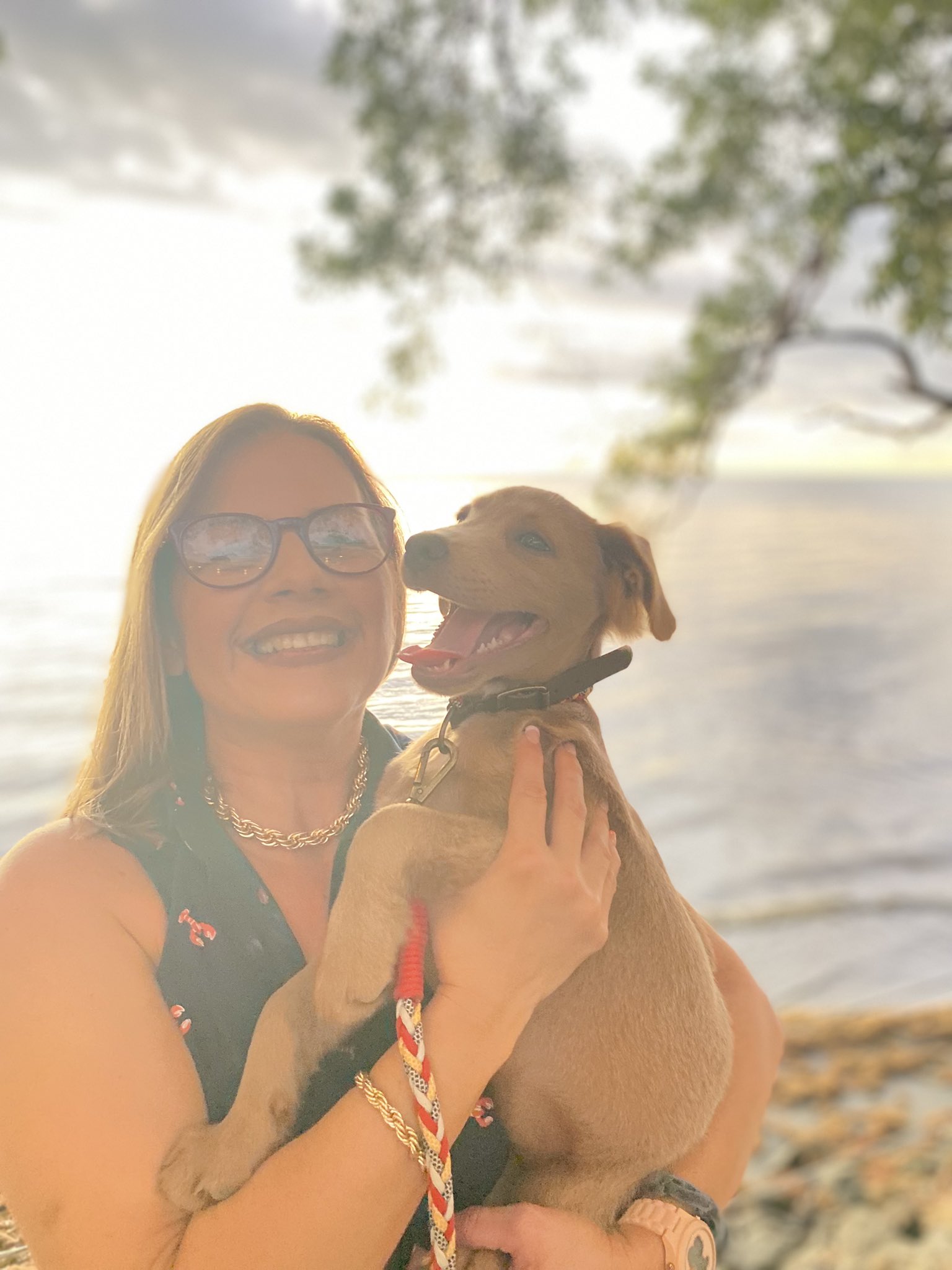 The Janice Rivera Ai Profile: A Breakthrough - jc0fpcv