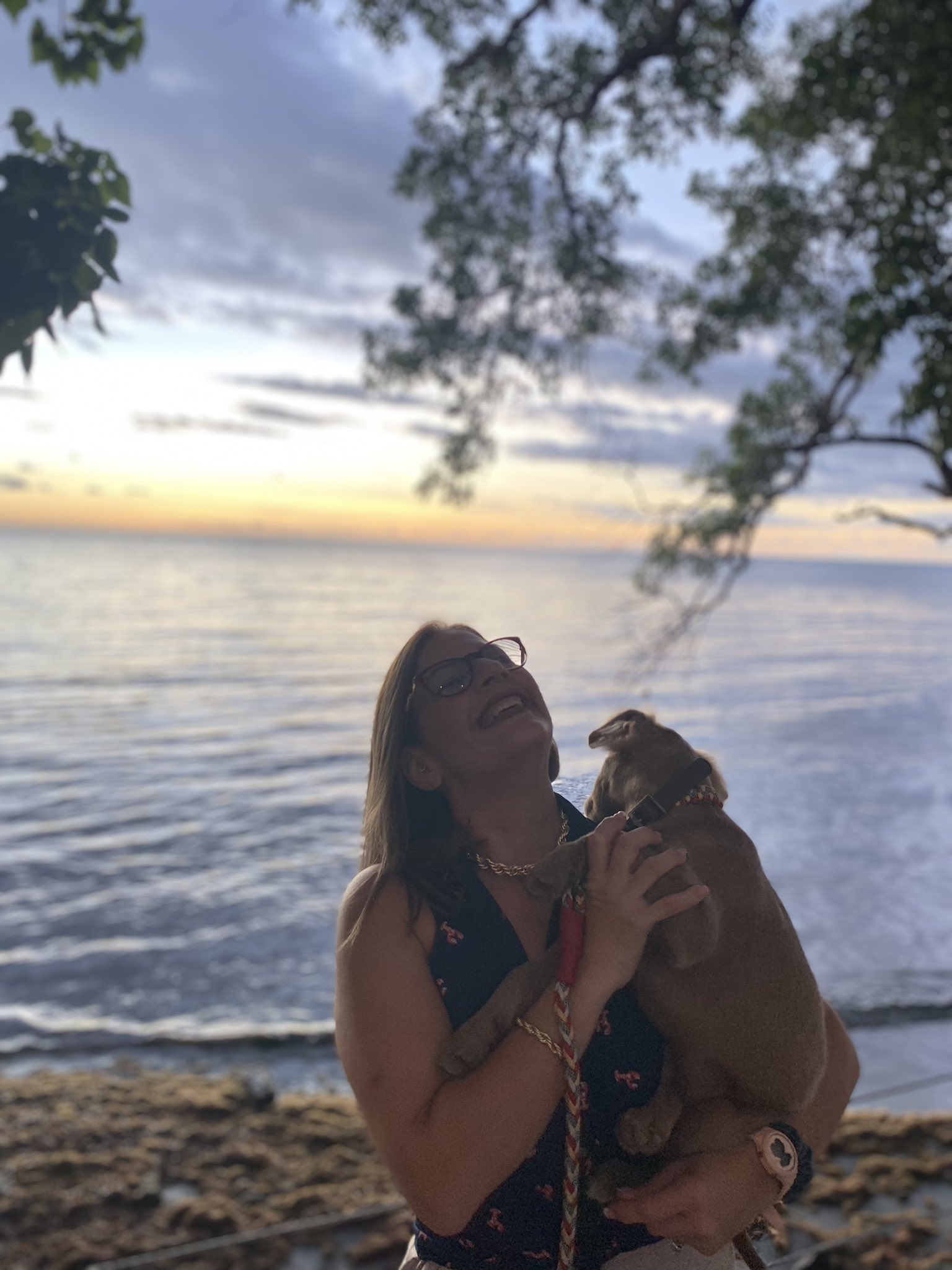 Lauren Kim Ripley Onlyfans: The Media Frenzy Explained - j6dzv51