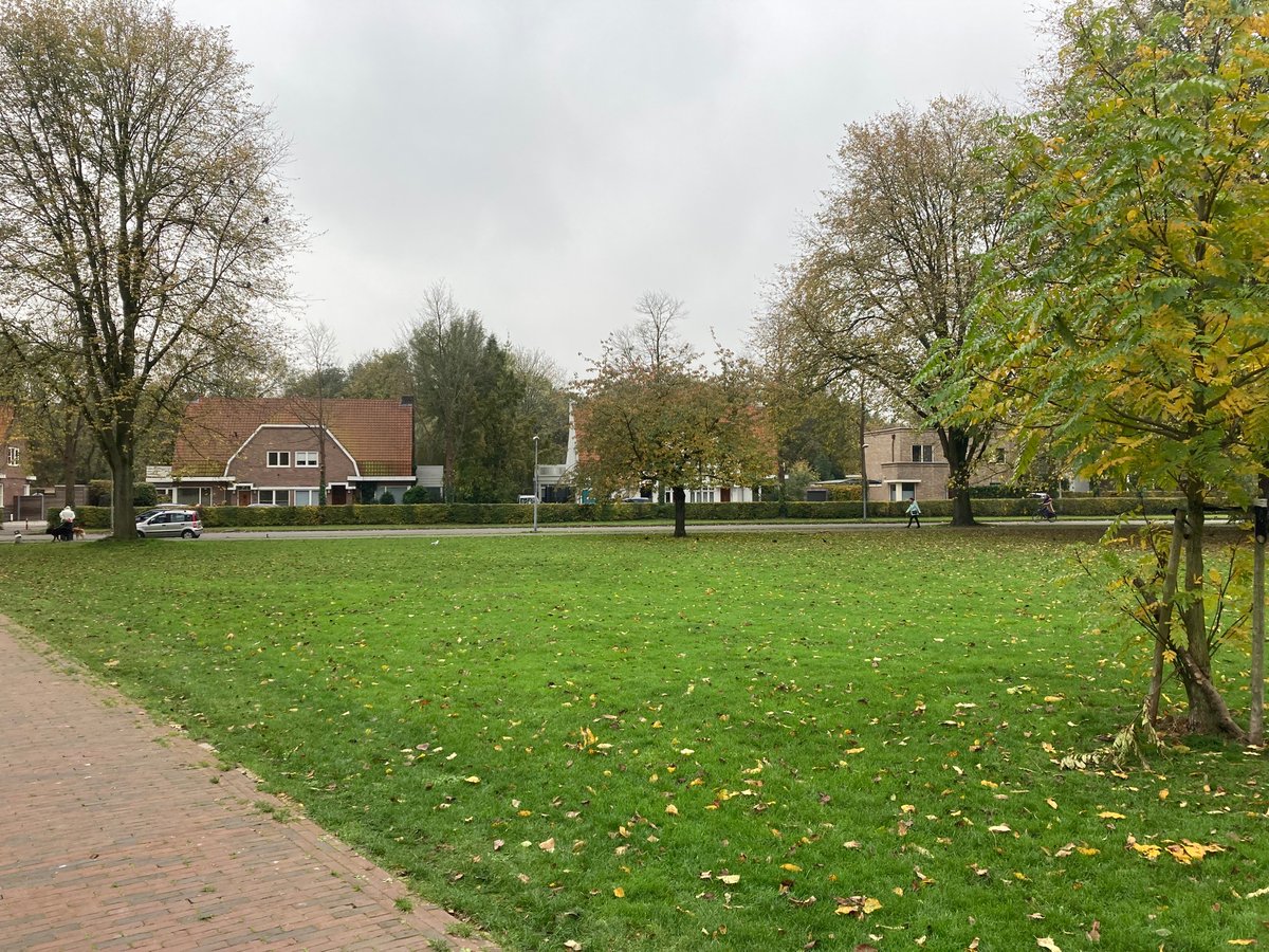 JaapJJ's tweet photo. @webcare020 @StadsdeelZuid @roccopiers @bomenconsulent Het plantseizoen is weer geopend! @StadsdeelZuid @duurzaam020 @webcare020  gaan jullie de vleugelnoot in het MLK park nu herplanten? Inmiddels al het 6e jaar op rij dat ik het vraag. https://t.co/jgQjdv5A0q