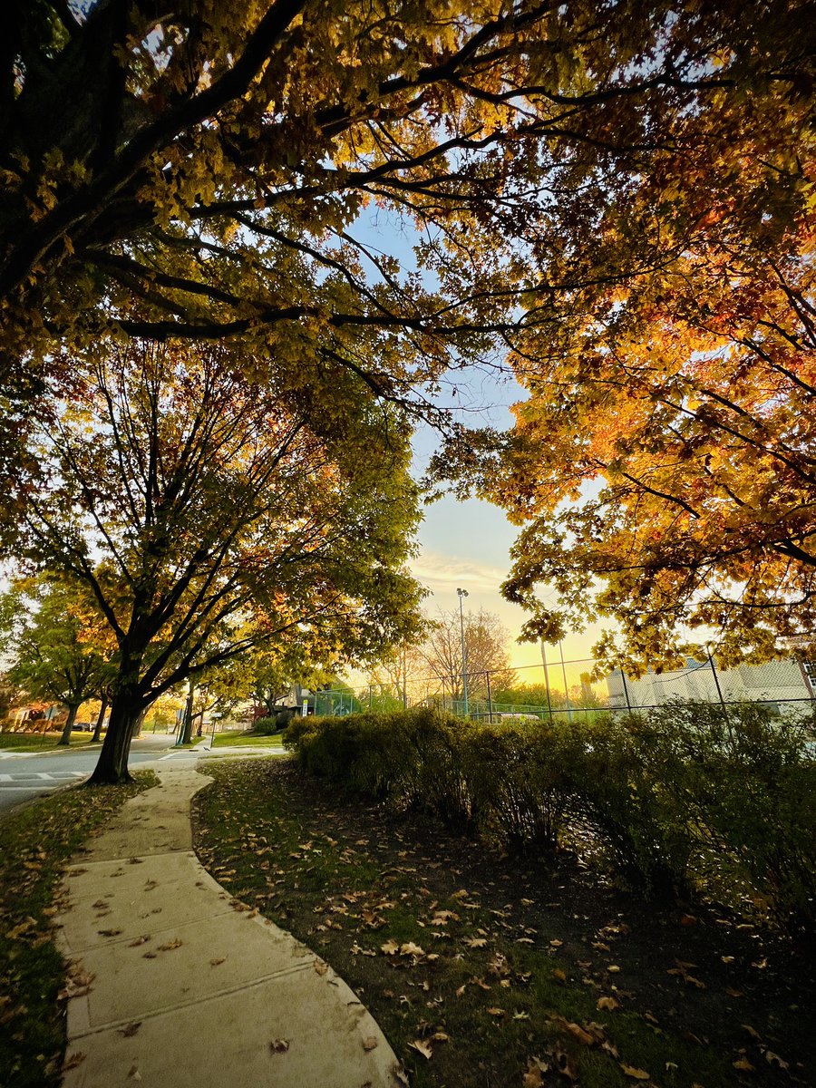 myfriendjanine's tweet photo. There are benefits to waking up before everyone else. 

A brisk quiet morning walk with my coffee listening to the sound of the squirrels getting ready for winter.🍂🍁

You truly can’t beat fall in the Midwest. https://t.co/8dIfxUaBrj