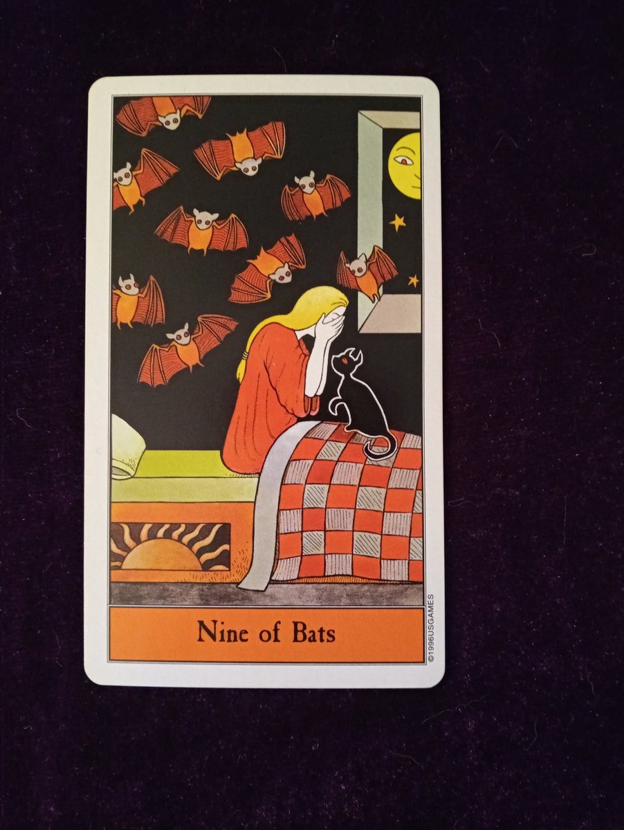 tigerlex333's tweet image. Follow the black cat.
What is today's energy?
You will be bombarded by several types of energy throughout the day. It will hit you physically and emotionally. Find a "safe" retreat when you need it.
#bombard #safe