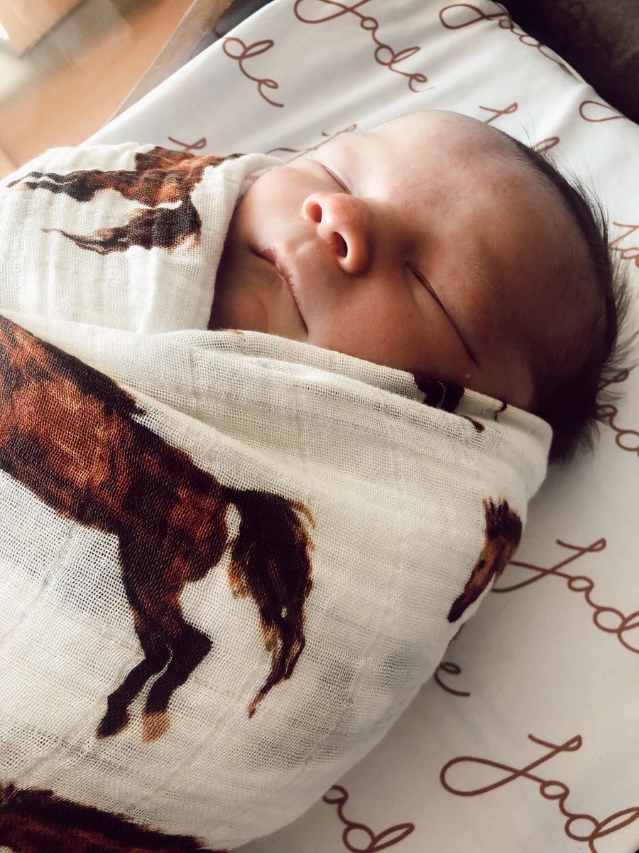 Miranda_Mattern's tweet photo. Jade Dale Mattern
9 pounds 15 ounces 
11/07/2021
♥️ https://t.co/dFQzojIuqE
