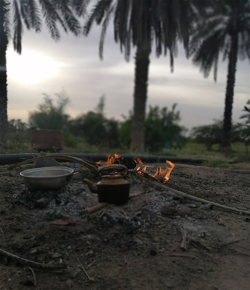 ڪنار چای و آتش☕
بارها یاد "طُ" افتادم...
چه دلتنگی شیرینی...
چه خوشبختی کوتاهی...

( #هرمزگان میناب ، نخلستون پدربزرگ 
یه عصر دل انگیز پائیزی)