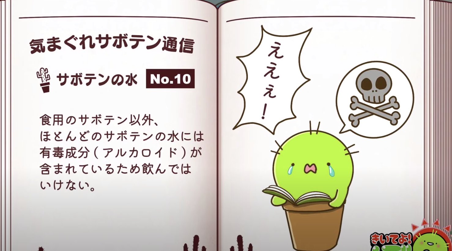 きいてよ ぼてん君 Youtubeアニメ 気まぐれサボテン通信 No 10 サボテンの水 食用サボテン以外は毒があるの だから ぼくのお水は飲めないの カメさん気をつけて きいてよ ぼてん君 第10話より T Co M7wsia5gwo ぼてん君 T Co