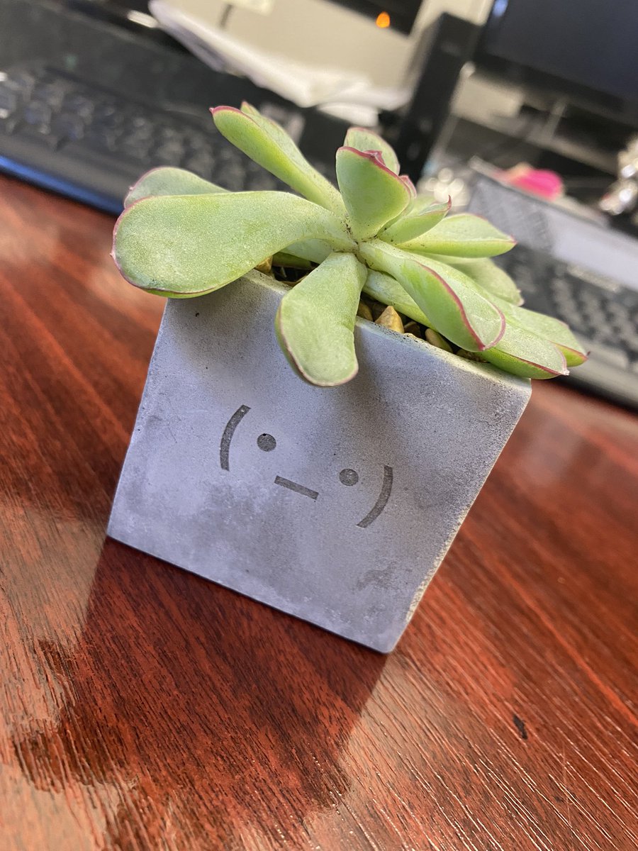 You are spoiling me now <a href="/netprotocol/">NETprotocol</a> 😂 how cute is this 🪴 <a href="/CatterallsLaw/">Catteralls</a>