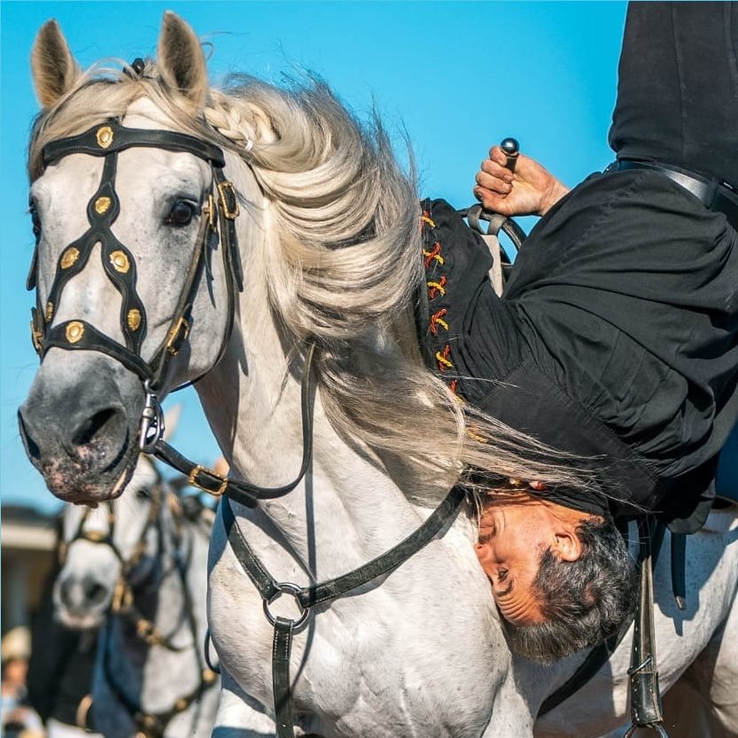 gros_pixel's tweet photo. Retour en photos sur la journée #equidays de @DeauvilleFr, organisé par le @CalvadosDep https://t.co/DSnue1AM6L