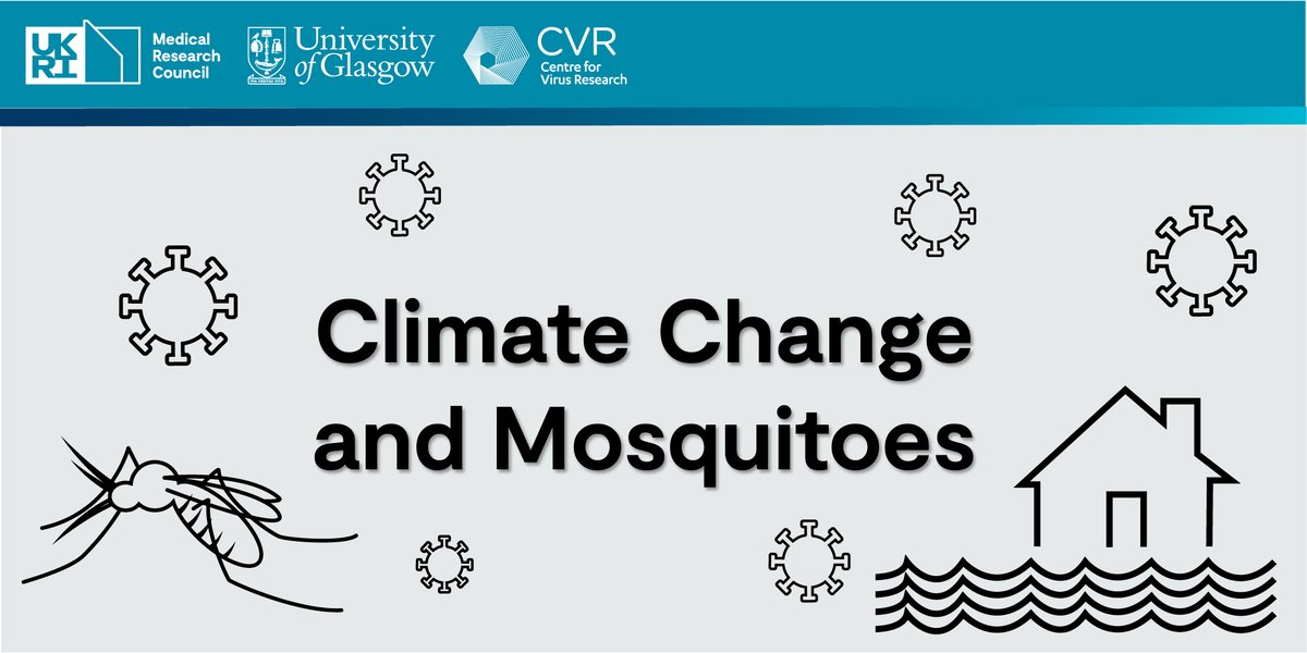 MRC-Uni of Glasgow Centre for Virus Research tweet media