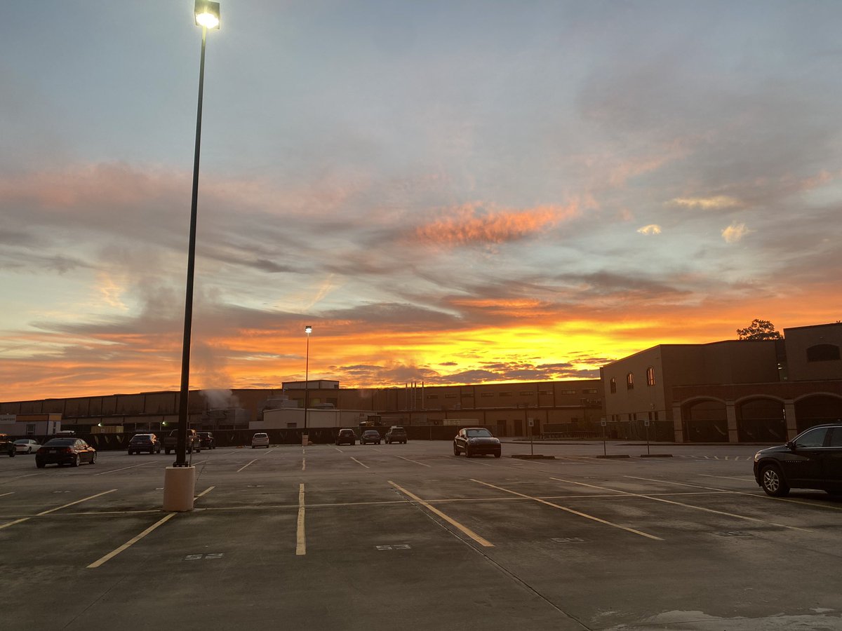 Lindy Protasi, LSSP tweet media