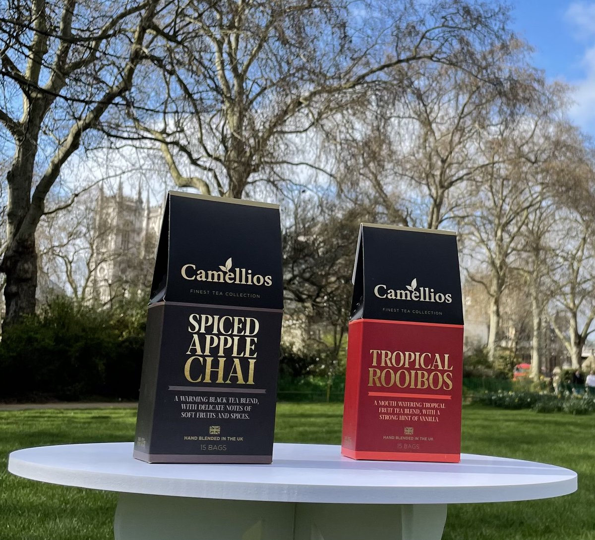 Camellios tweet media