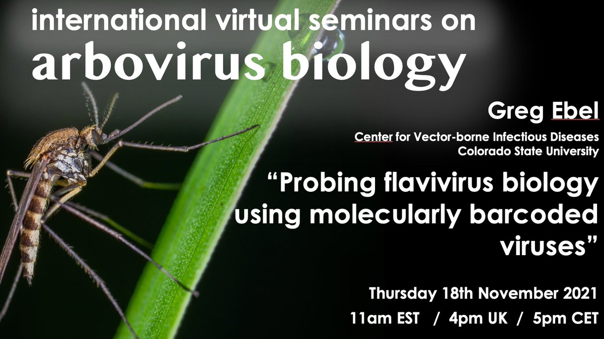 Arbovirus Seminars tweet media