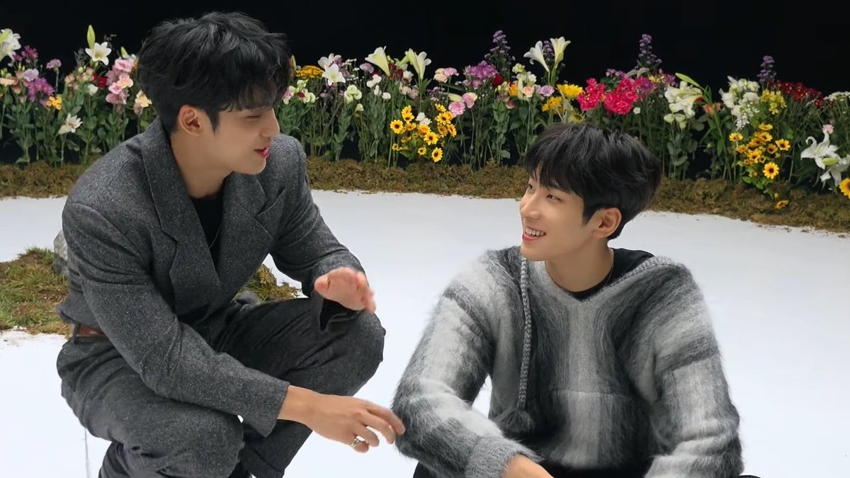 wonubliss's tweet photo. mingyu and wonwoo 😆😭😭😭😭😭 https://t.co/QPQaOnhygx