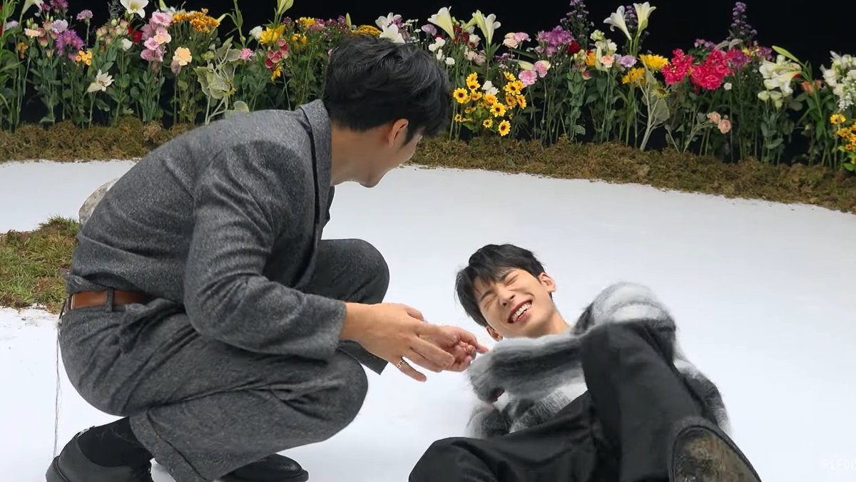 wonubliss's tweet photo. mingyu and wonwoo 😆😭😭😭😭😭 https://t.co/QPQaOnhygx