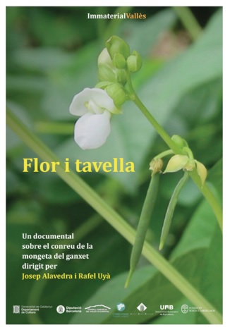 📽️Estrena del documental "Flor i tavella"
🗓️Dimecres 10 de novembre, 19:30h a l'Auditori Miquel Pont de Castellar del Vallès 
➡️El resultat d’un treball de tres anys, seguint el conreu de la mongeta del ganxet al Vallès a través dels seus protagonistes.
✅L'entrada és gratuïta