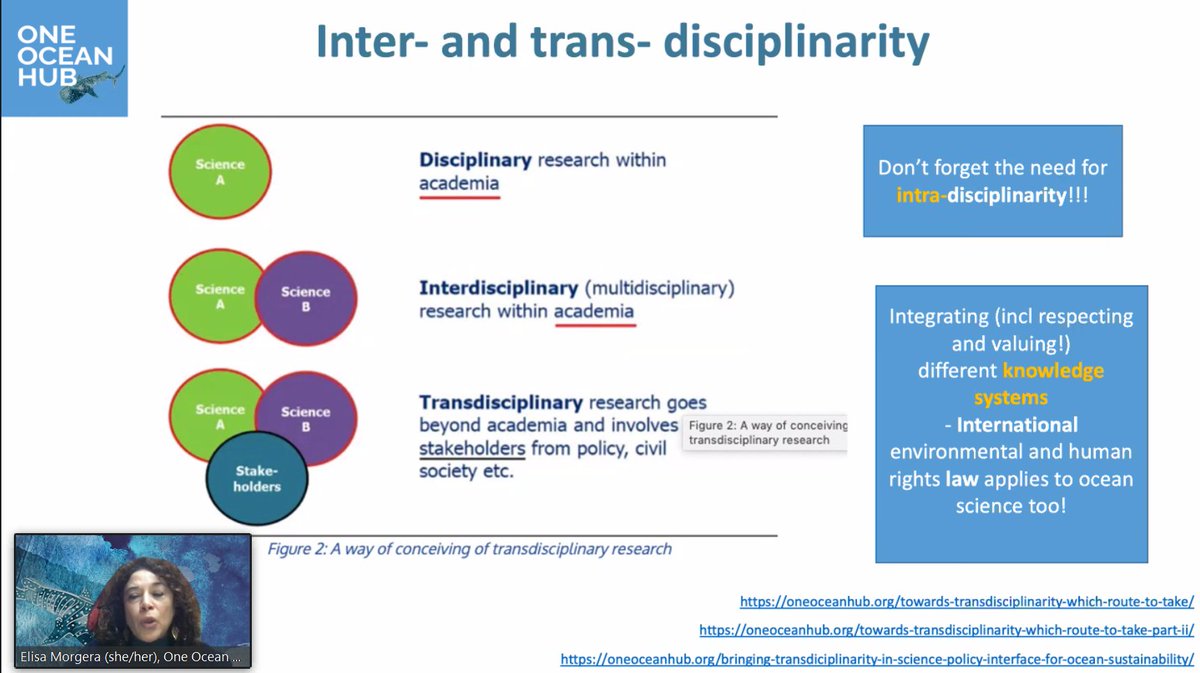 sheilaheymans's tweet photo. Today we are running the #IOGForum Transdisciplinary Forum workshop ... with a talk by Elisa Morgera from #OneOceanHub...@EMarineBoard https://t.co/FcjbGPaQ6T