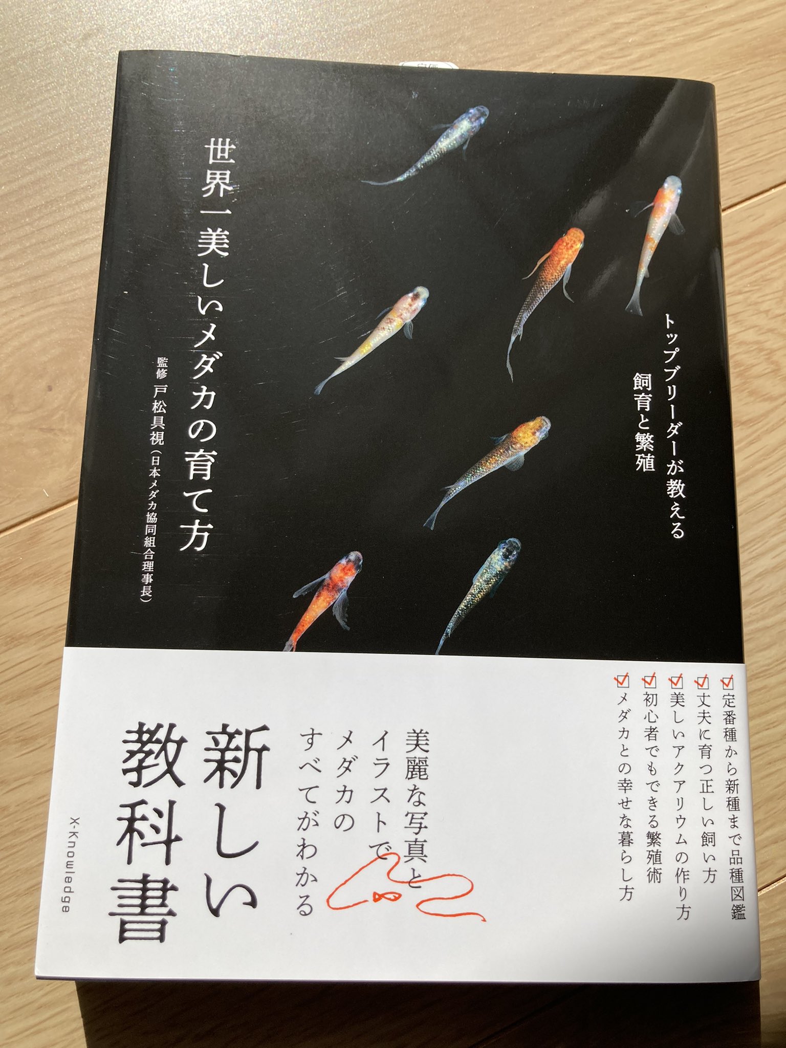 数々の賞を受賞 メダカ飼育・繁殖の究極セット - htii.edu.kz