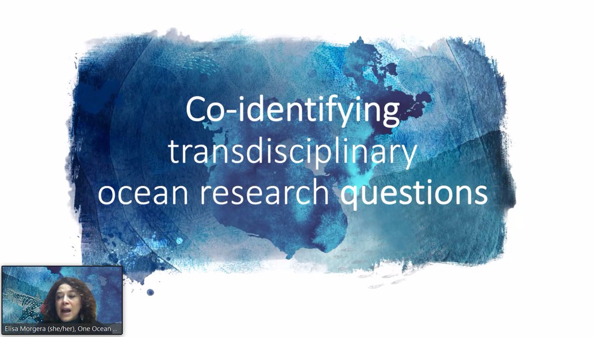 sheilaheymans's tweet photo. Today we are running the #IOGForum Transdisciplinary Forum workshop ... with a talk by Elisa Morgera from #OneOceanHub...@EMarineBoard https://t.co/FcjbGPaQ6T