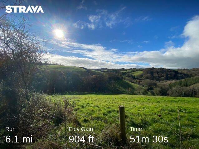 andyb066's tweet photo. Hilly 10K this morning @runningpunks on both sides of #mevagissy No Heron, but did see a cormorant keeping a close eye on things in the harbour #runningpunks #runningpunk https://t.co/hgNu9PsvWz