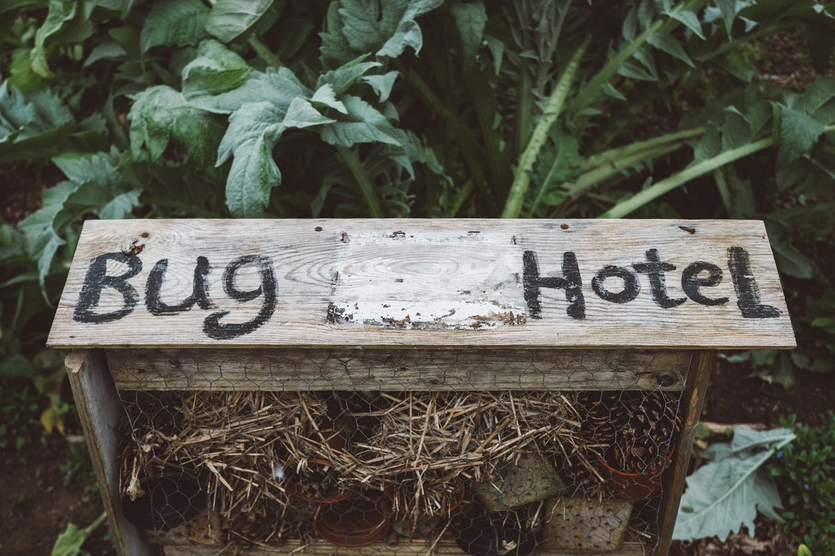 WyevaleNurs's tweet photo. Today’s activity from @thrivecharity is to build a bug hotel. Insects are an important part of a healthy garden and many of the wonderful garden-friendly bugs we have on our nurseries include ladybirds, moths, butterflies and solitary bees. #autumnwellbeing https://t.co/FFQC4LBZ60