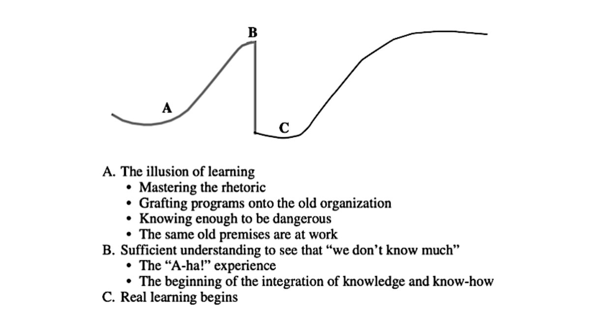 A learning curve by W. Edwards Deming (I think). Nailed it! I especially like the 'real learning begins' bit.
