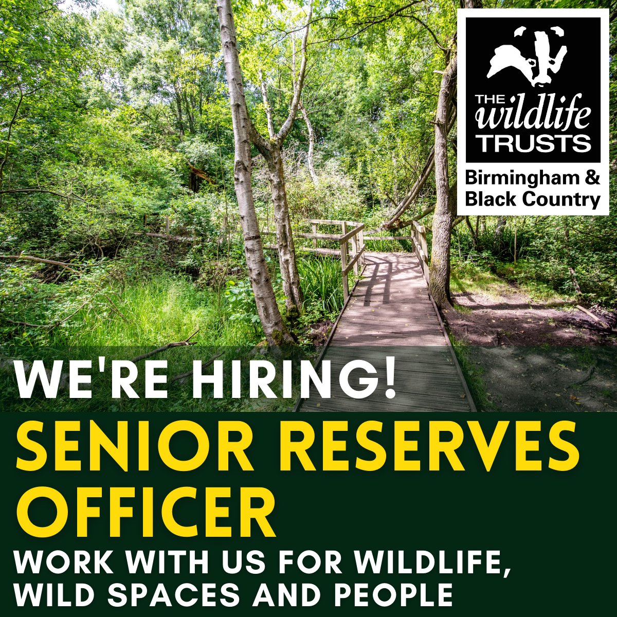 WTBBC's tweet photo. We are now recruiting for the exciting position of Senior Reserves Officer. Help us to manage our nature reserves across Birmingham and the Black Country, and work for the benefit of our visitors alongside volunteers and Friends groups. Find out more: https://t.co/iqntbB8NZh https://t.co/TFnM0Ff3tV