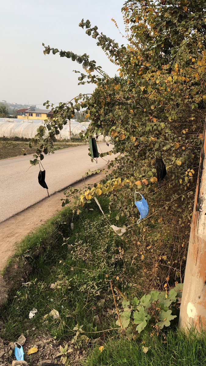 iktidarin son hamlesi askıda maske ..
