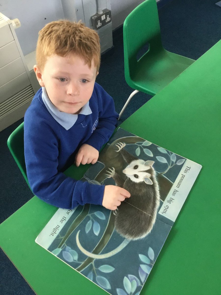 longshawinfants's tweet photo. In Maple Class we've been exploring a variety of books from our reading corner to enhance our love for reading. The children enjoyed discussing their books and we are looking forward to starting our new book 'The Children who loved books'. https://t.co/Xb3nwegthg