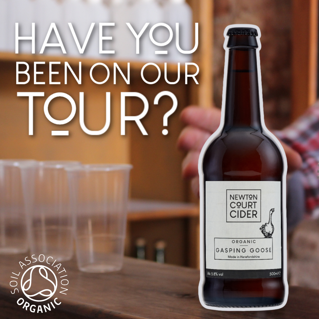 NewtonsCider's tweet photo. Thereβs still time to see the team in action, harvesting, processing and pressing apples.
Our mill tours are the perfect way to experience how traditional Herefordshire cider is made.
Book now on our website;
https://t.co/BjBiCSXezl
#cidertour #Herefordshire https://t.co/64qqtx0jBO