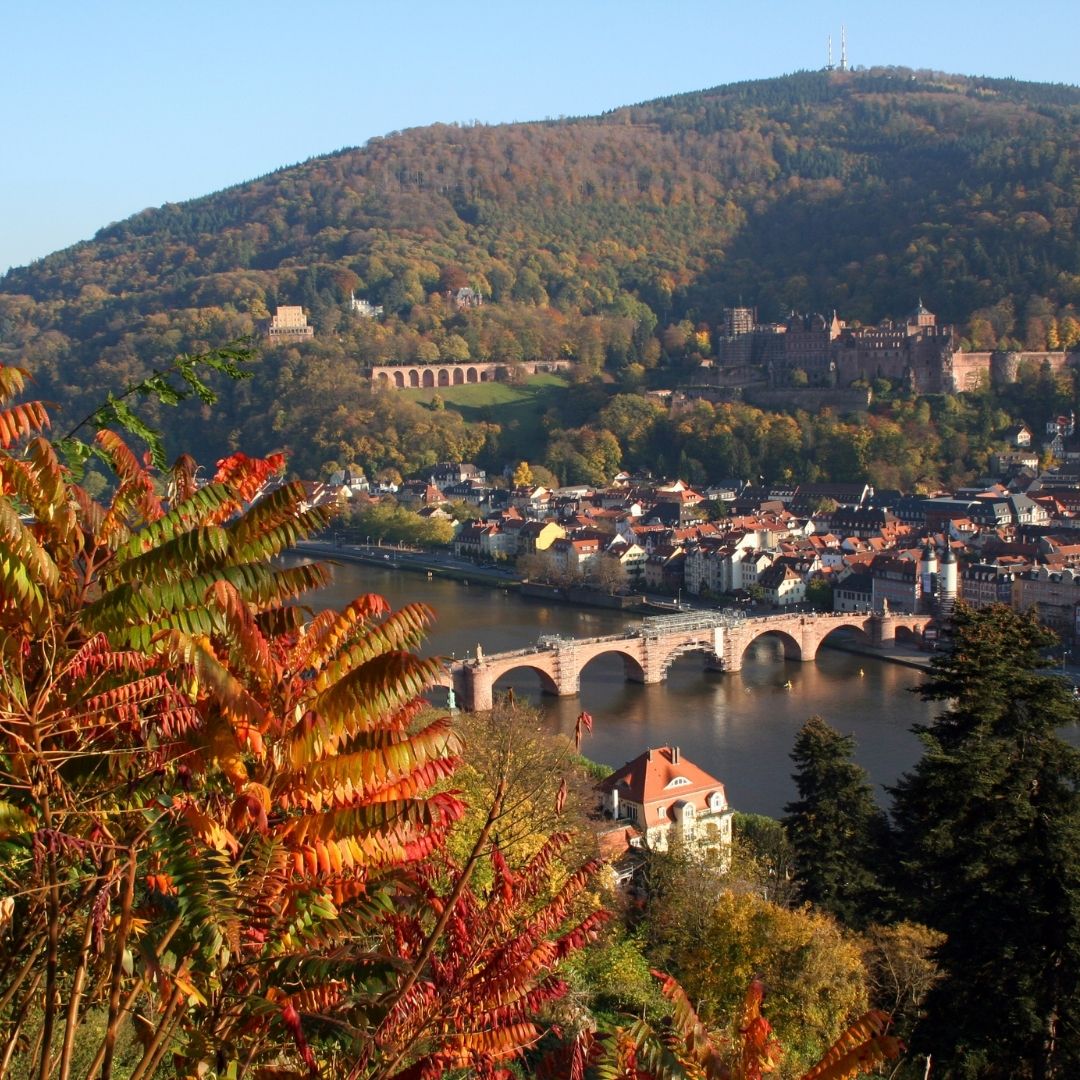 CEPA Study Abroad tweet media