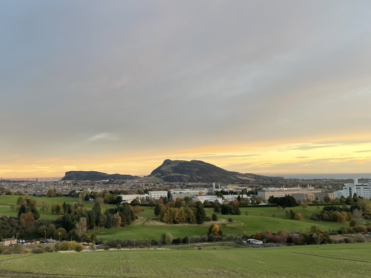 Trisha_the_doc's tweet photo. @uoeKB Ooh, noted!! I might look out for one more like this….? The KB campus at dawn a few days ago.
#KB101 https://t.co/q5oKuSGG8x
