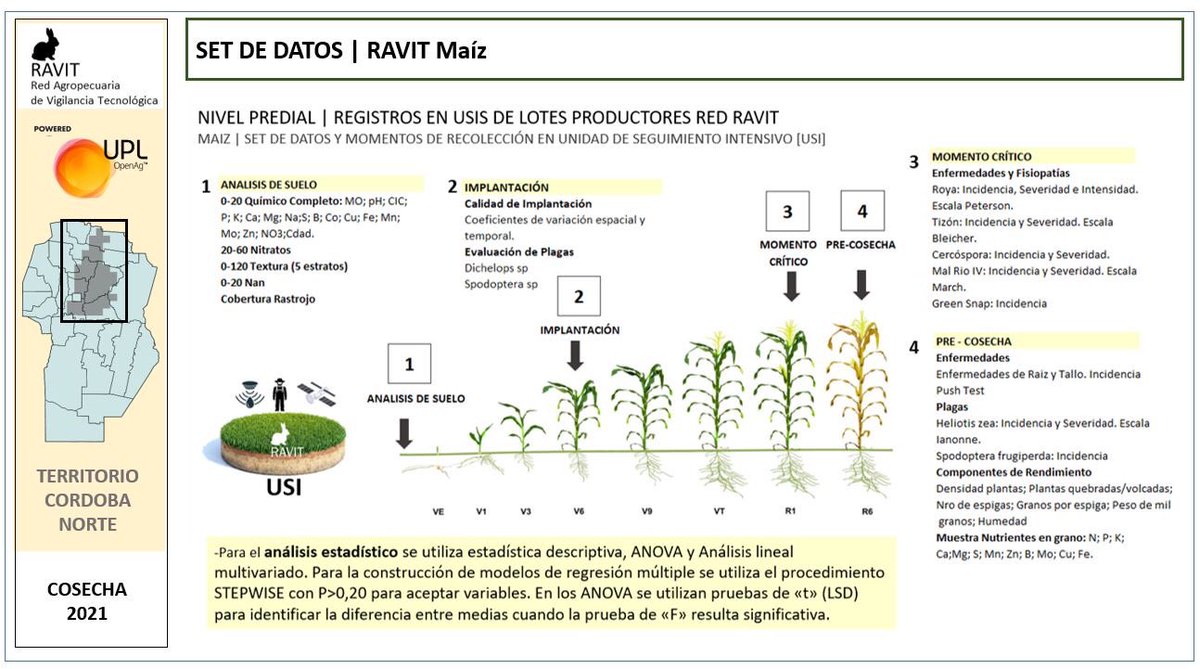 RavitAgro's tweet photo. Es mañana! Nuevo modelo productivo maiz! Fruto del esfuerzo de 50 Productores Cba Norte y el impulso #openag de @UPLArgentina Fuente: 120 variables medidas en 100 sitios durante tres campañas + la ciencia de Emilio Satorre! 👉🏻 link zoom 10nov 18hs https://t.co/AKFCEdKvhr https://t.co/lY4yGwL9SK