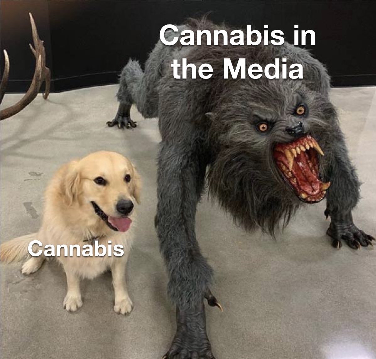 ia_stoned's tweet photo. https://t.co/jbXjS3dw7M