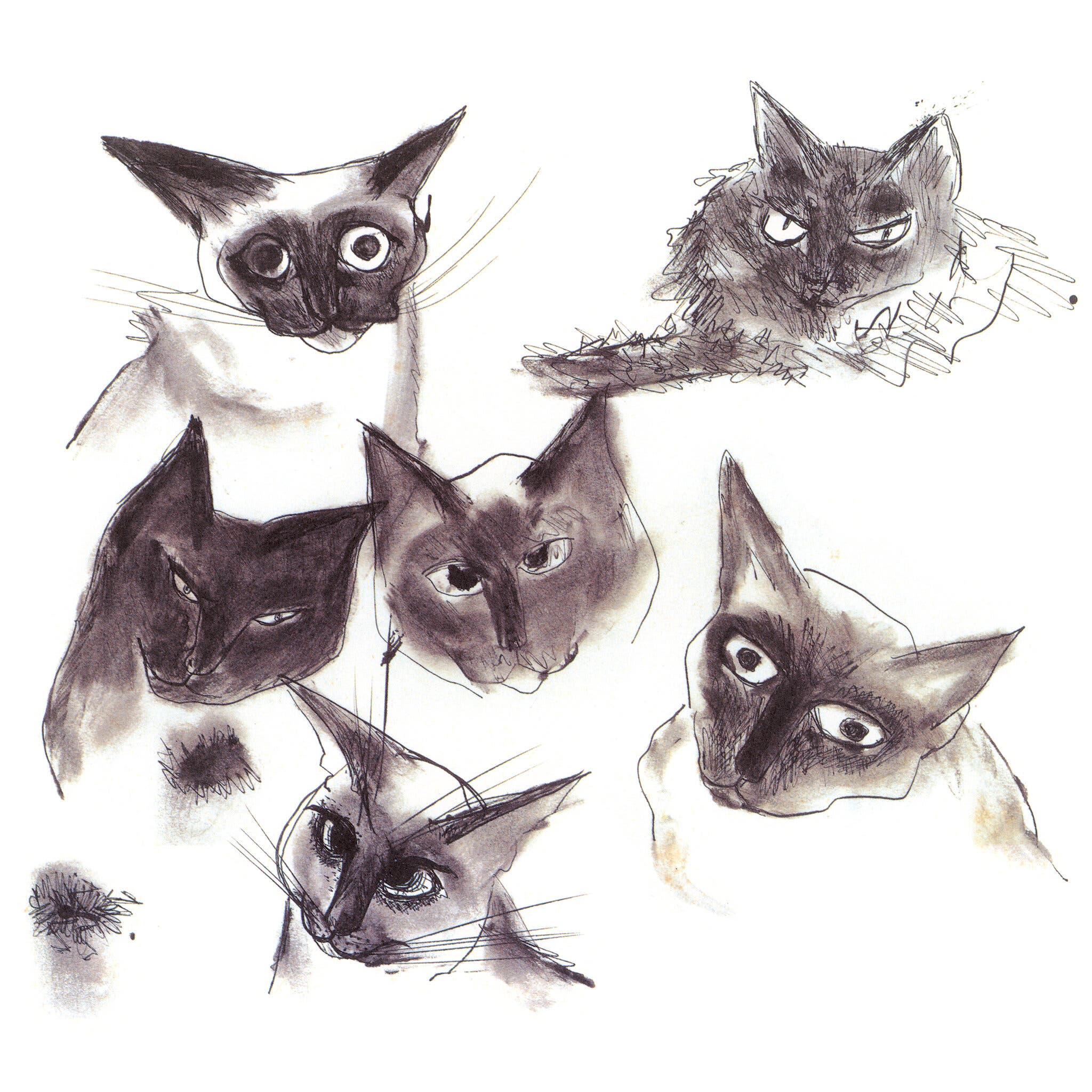 uıʞɹɐl ɯɐɥɐɹƃ on Twitter: "Drawing by Patricia Highsmith (1961). https://t.co/raqoX39e2M #cats #catsinart #caturday #caturdaythe13th #patriciahighsmith https://t.co/k9zzOqwe9q" / Twitter