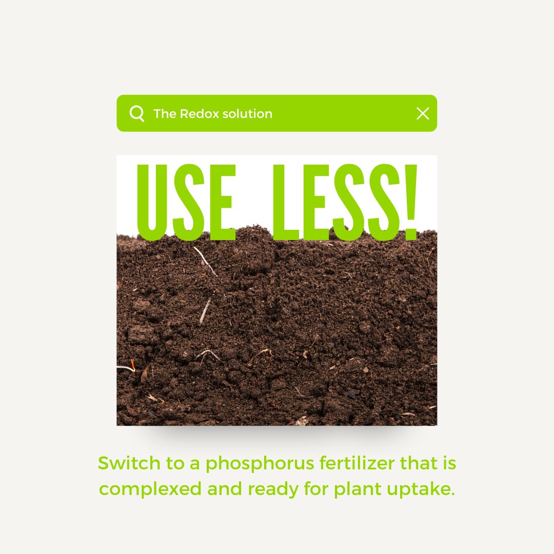 redoxgrows's tweet photo. Get more from your Phosphorus inputs. Are you worried about Phosphorus prices increasing? With demand uncertainty and price fluctuation, now is the time to be more efficient with your phosphorus inputs. https://t.co/KvRUDg0tju