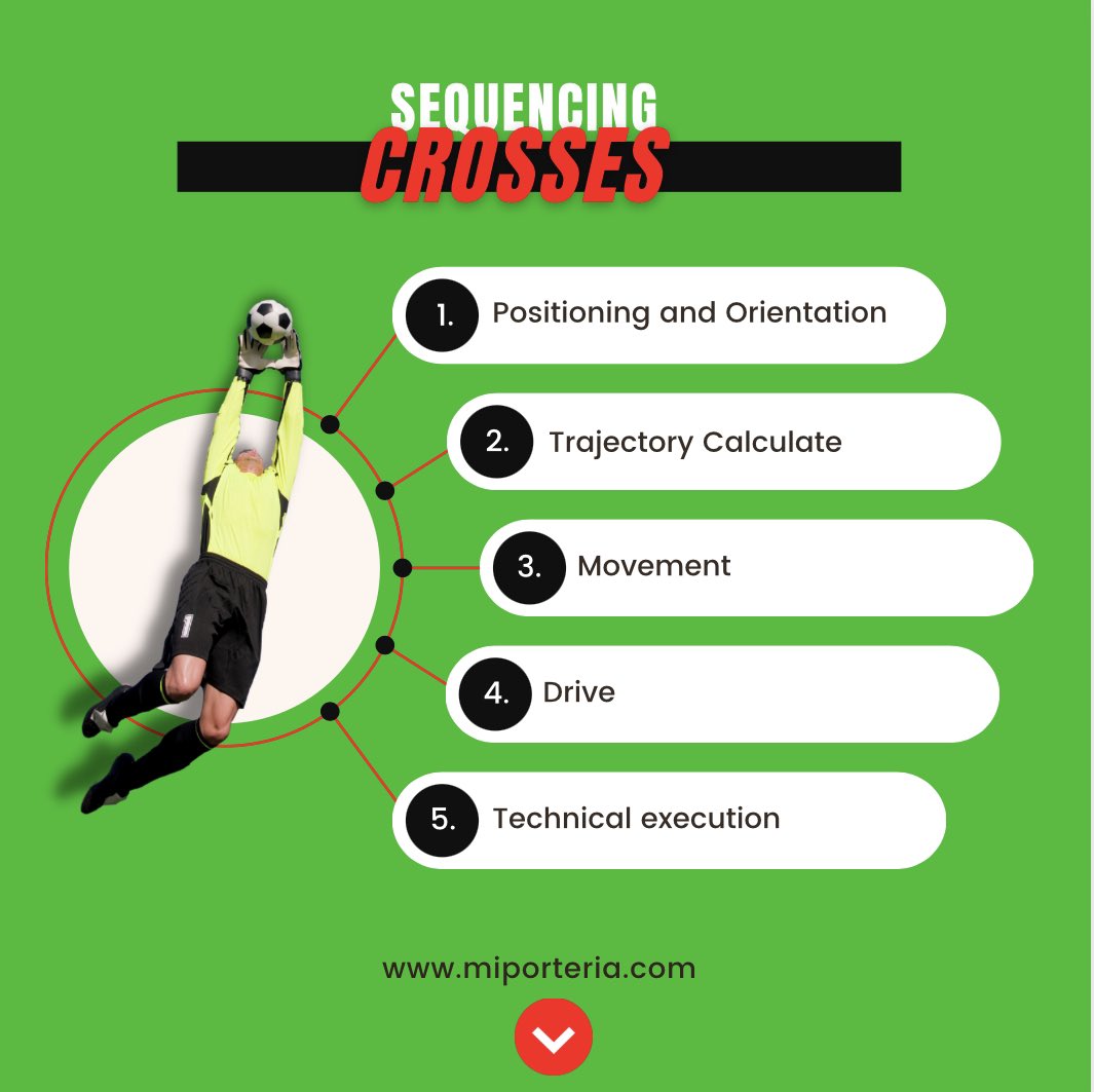 MyGKtraining's tweet photo. Would you like us to develop more in depth this sequencing of the CROSSES❓

◾Write us a comment with the "point" that is more problematic when working on it or include it as a goal within your methodology and we will help you with some methodological tips🤙

#goalkeeping https://t.co/dswXqAmNta