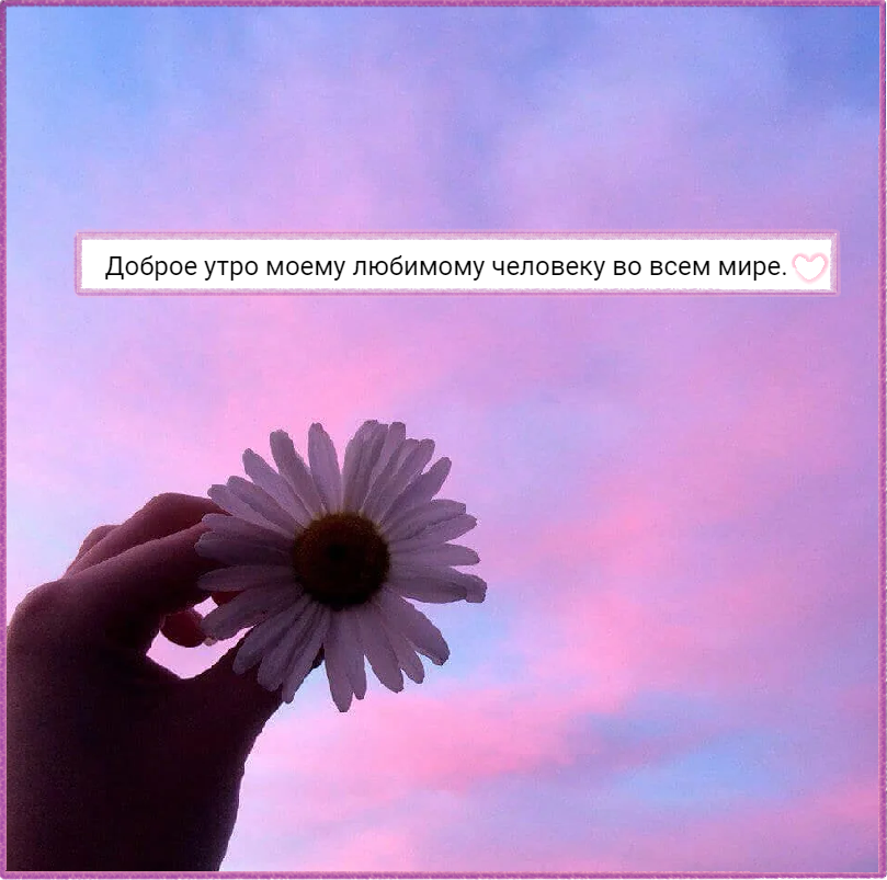 loveprincesstea's tweet photo. Суббота, 13 ноября 2021.
Доброго утречка🌅. Надеюсь на то, что у вас всё хорошо.
Ну, что же.. Новый день, принимай в объятия! https://t.co/sttKixsdhE