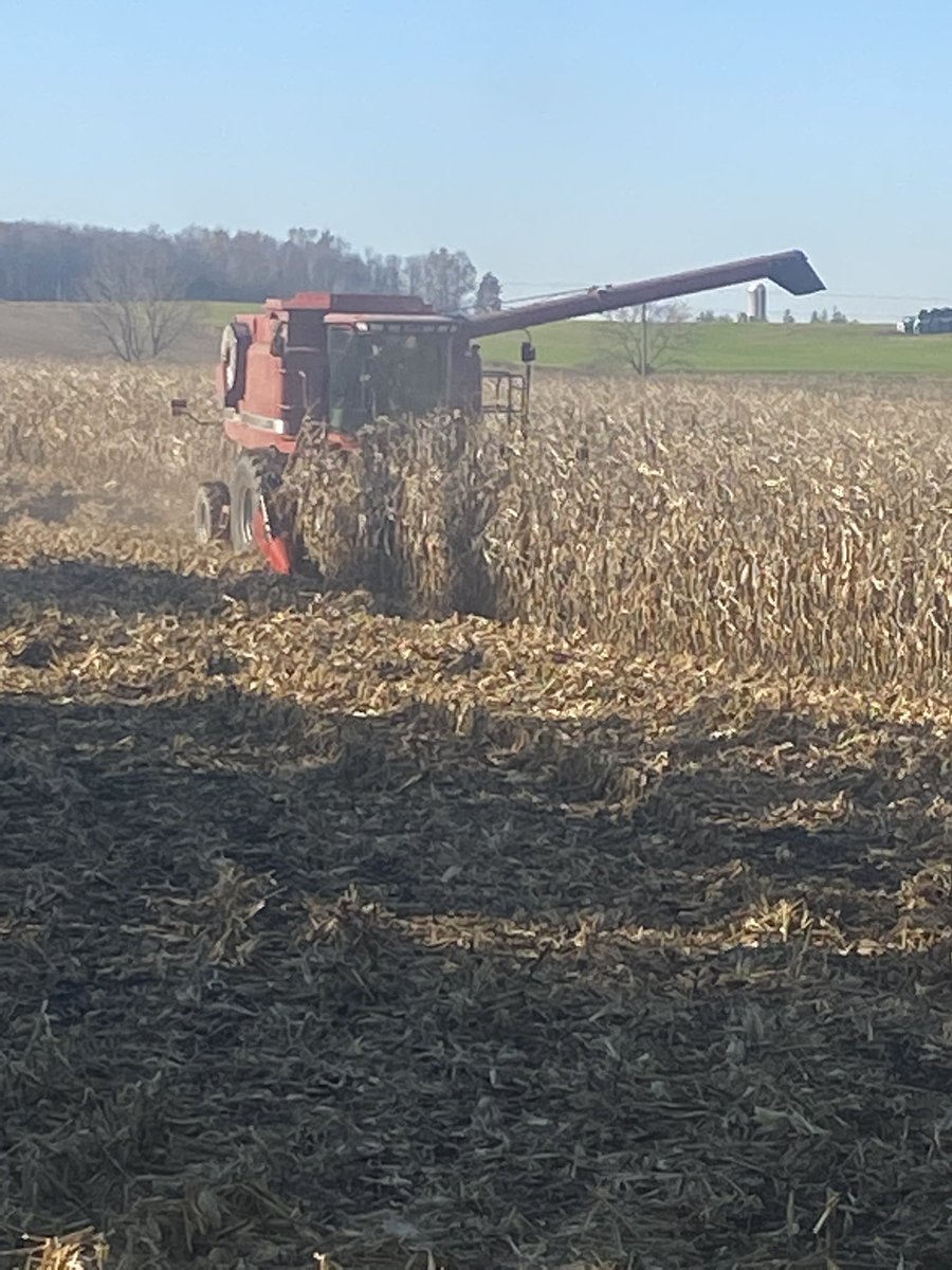 HargreavesRyan1's tweet photo. Busy day yesterday 3 #CROPLAN #AnswerPlots in 3 counties @WinFieldCanada we put in the time to help you with an informed decision that suits your operation  #Ontag #harvest21 https://t.co/vLFlRcZ86q