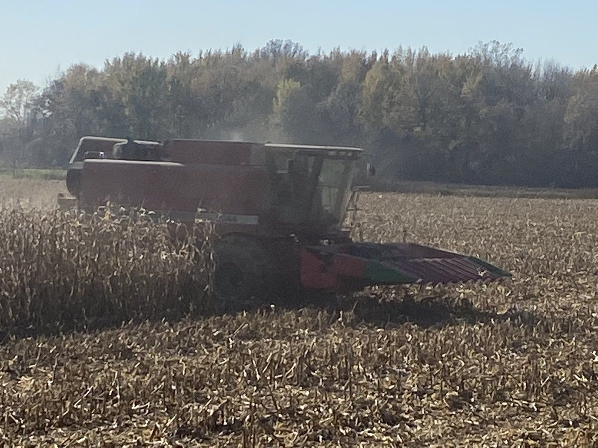 HargreavesRyan1's tweet photo. Busy day yesterday 3 #CROPLAN #AnswerPlots in 3 counties @WinFieldCanada we put in the time to help you with an informed decision that suits your operation  #Ontag #harvest21 https://t.co/vLFlRcZ86q