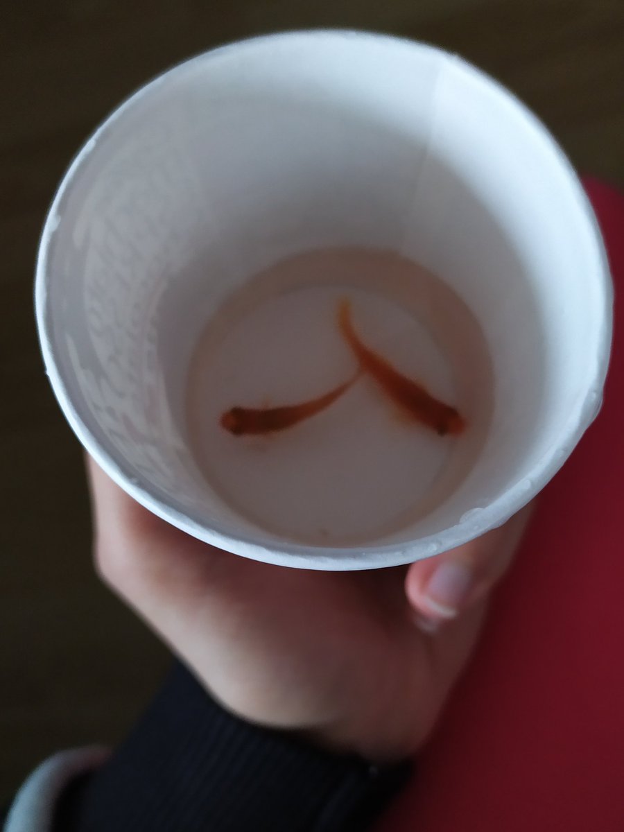 En sevdiğim yemek sushi