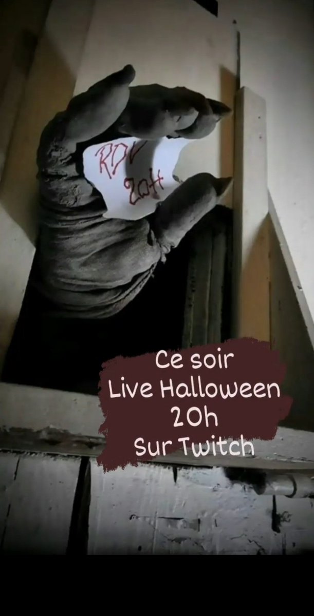 BavarStories's tweet image. Et voilà, je mets ça ici aussi, comme ça tout le monde est au courant !