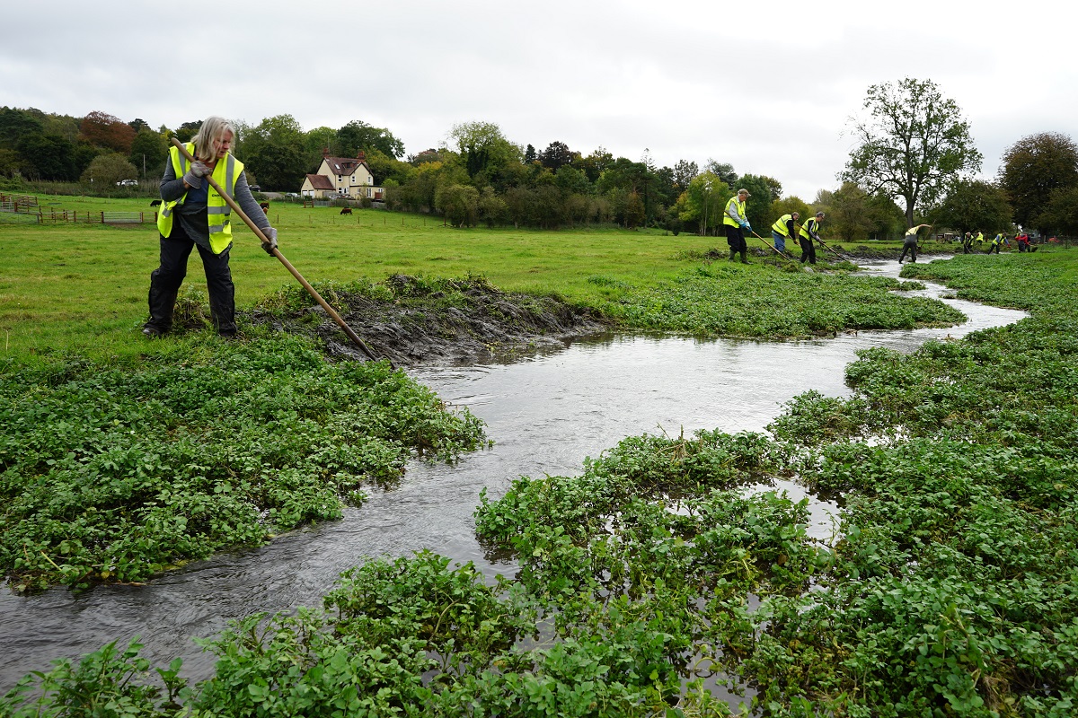 ChilternSociety's tweet photo. One our work parties down in the River Misbourne last week. They were clearing watercress and sediment build up, which had choked the river with excessive growth. Job well done.
#misbourne #watercress #river #volunteers #workparties #rivermisbourne #bucks #buckinghamshire https://t.co/K1FVWmNczO