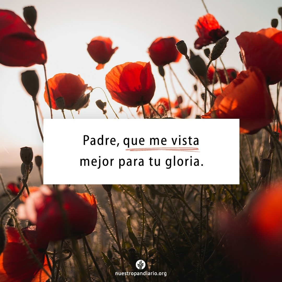 Padre, que me vista mejor para tu gloria 

#DiosEsBueno #DiosEsFiel #SiguemeYTeSigo