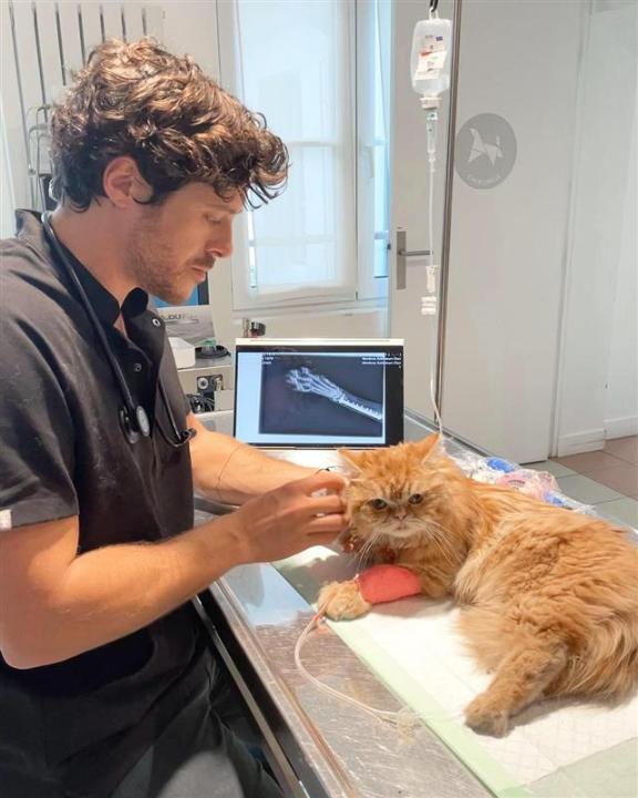 HollynPhelps's tweet photo. See how Dr. Hawawini, a wildlife veterinarian, uses smarter technology in his clinical practices and as a way to raise awareness of endangered species. https://t.co/KoRawgVKzS #LenovoInnovators https://t.co/kH282A8RRl