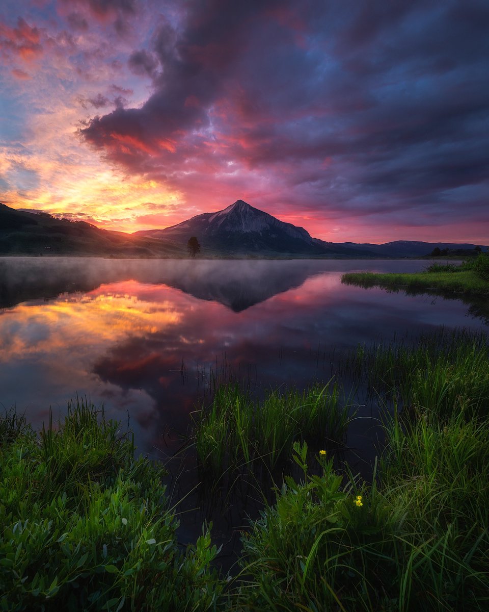 benstraussphoto's tweet photo. Gm Gm https://t.co/KFvvP9IsA3