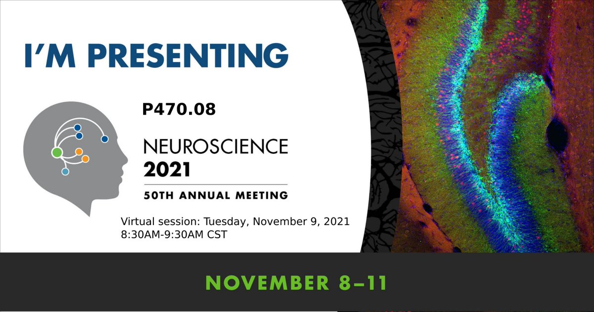 BolanosFederico's tweet photo. Come checkout my work at #sfn21 !
P470.08 - Processing of visual textures in primary and secondary visual cortex of the mouse.
Turns out mice can see textures. Shoot me a message if the session time doesn't work out! https://t.co/N3ru38imKi