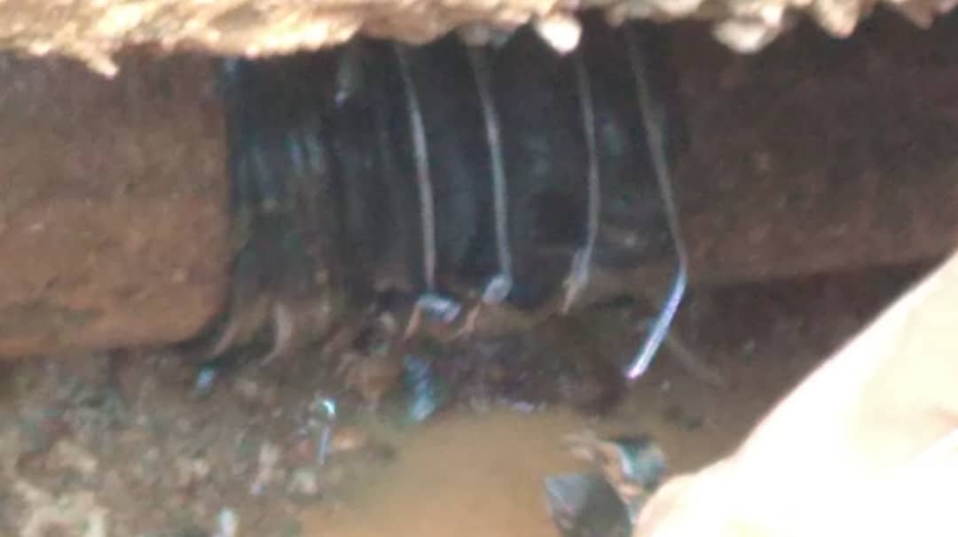 eduardojsf21's tweet photo. @gestionperfecta @HidroCapital2 por favor, en la resid de la Guardia Nacional, calle 11, los Jardines del Valle,presentamos un grave problema con una tubería matriz de aguas blancas q x los años d la misma se rompió,quisimos solventar y no funcionó el trabajo,AYUDA x favor https://t.co/ICB1PsTgq3
